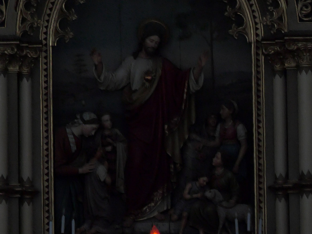 Biserica Notre Dame Din Timisoara景点图片