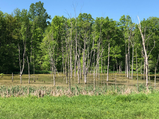Lyon Oaks County Park-威克瑟姆必去景点