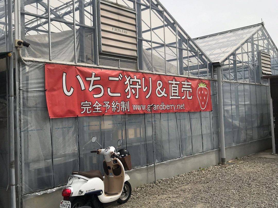 GrandBerry-八尾市必去景点