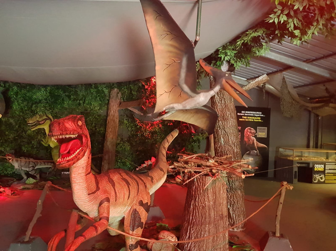 Krazy World Zoo-Algoz必去景点