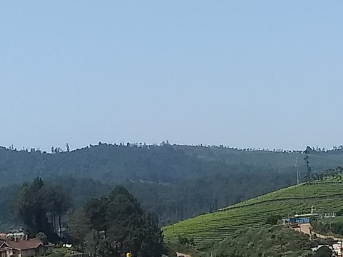 Drizzle Drop Inn主图