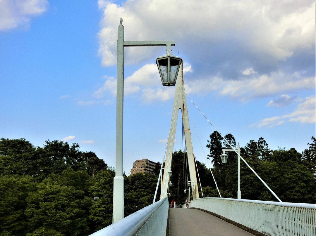 Ayumi Bridge-青梅市必去景点