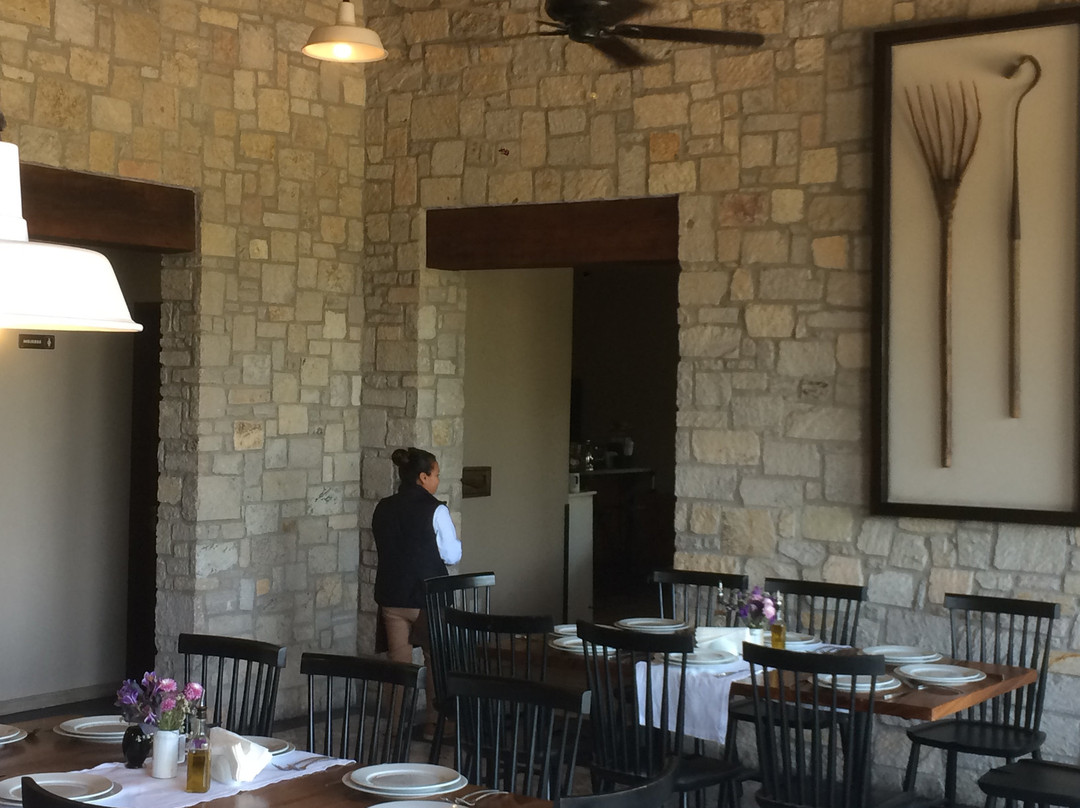 Viñedos San Lucas主图