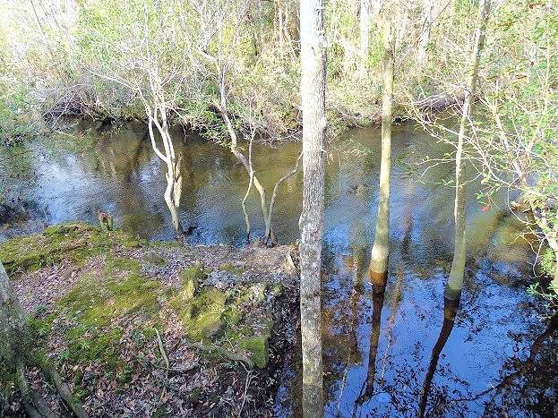 Arcadia Mill Archaeological Site景点图片