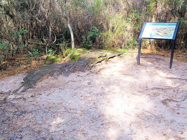 Arcadia Mill Archaeological Site景点图片