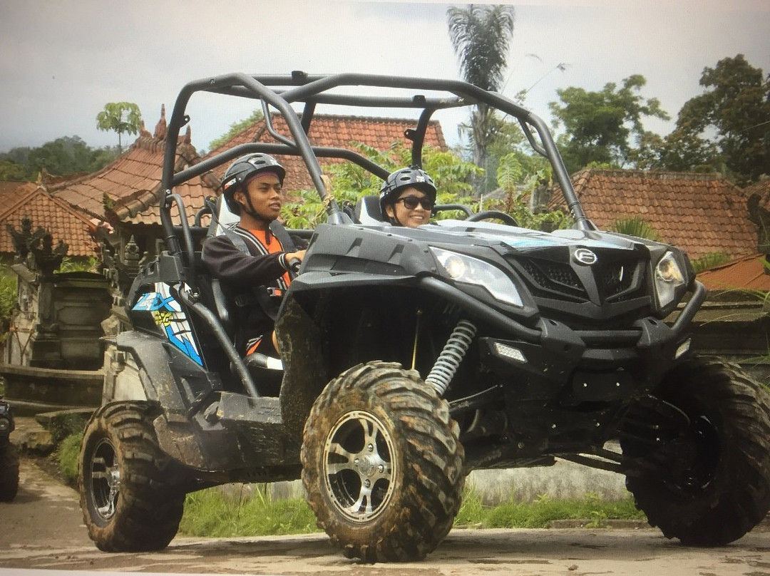 Bali Quad Discovery Tours景点图片