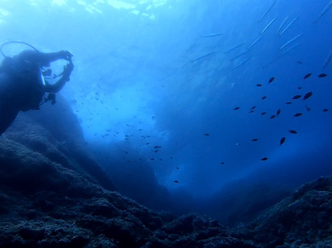 Scuba Activa-Sant Elm必去景点