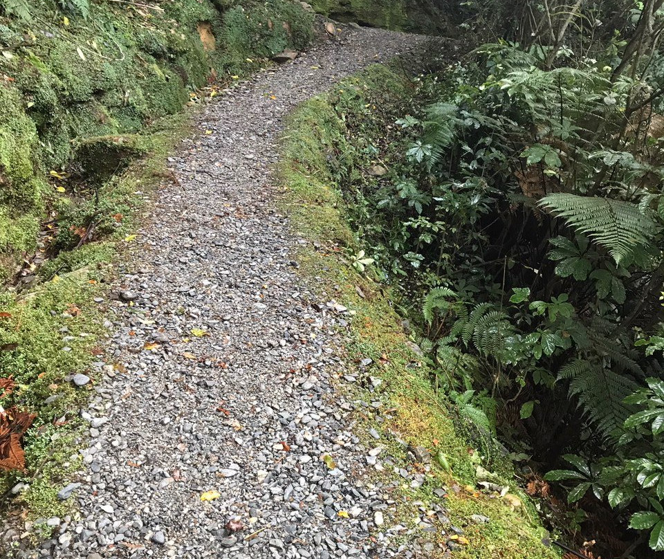 Canavan's Knob Walk-弗朗茨约瑟夫（冰川）必去景点