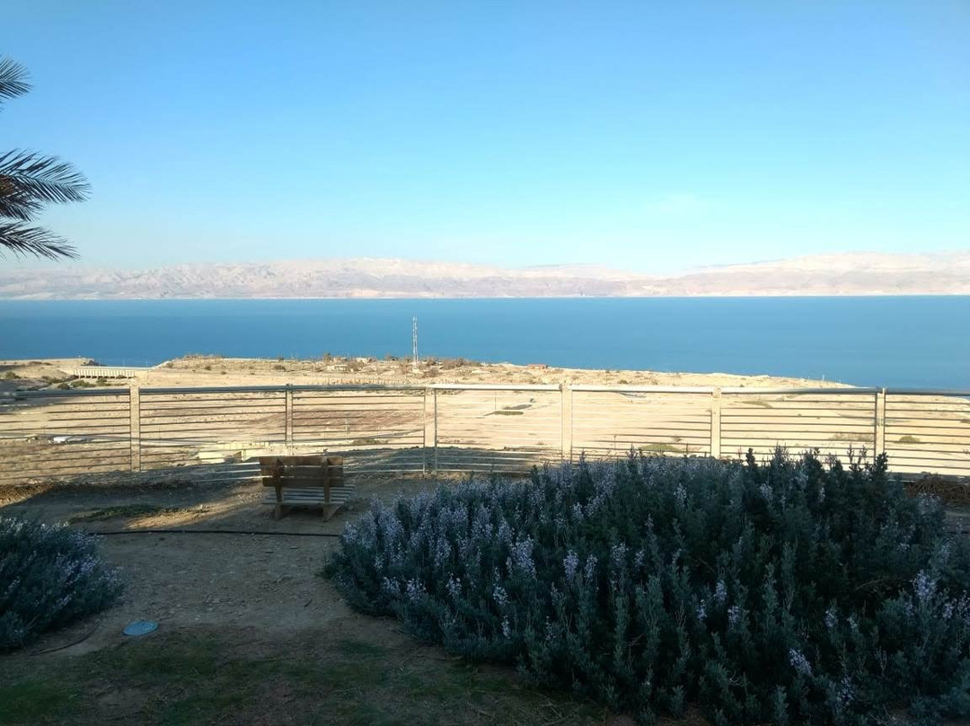 茵格德克布兹酒店主图