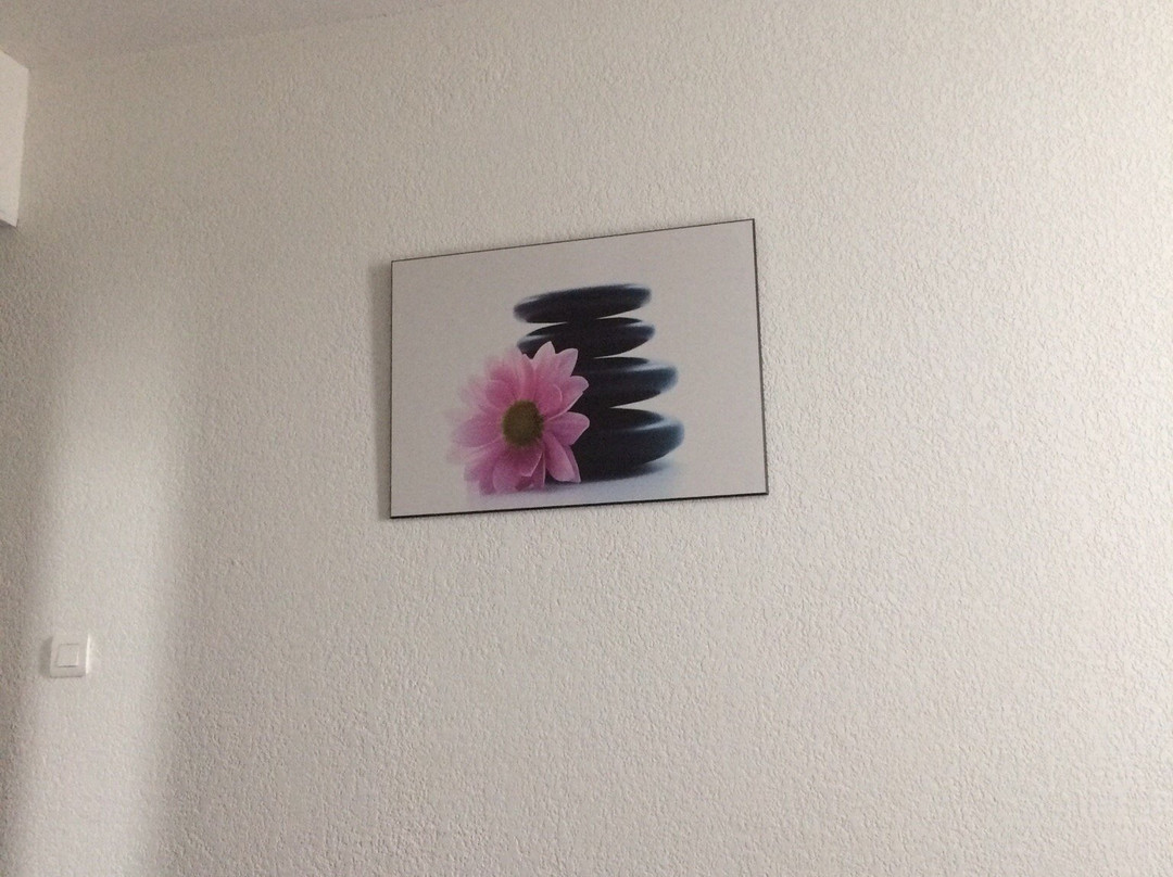 Hôtel All Suites Le Teich主图