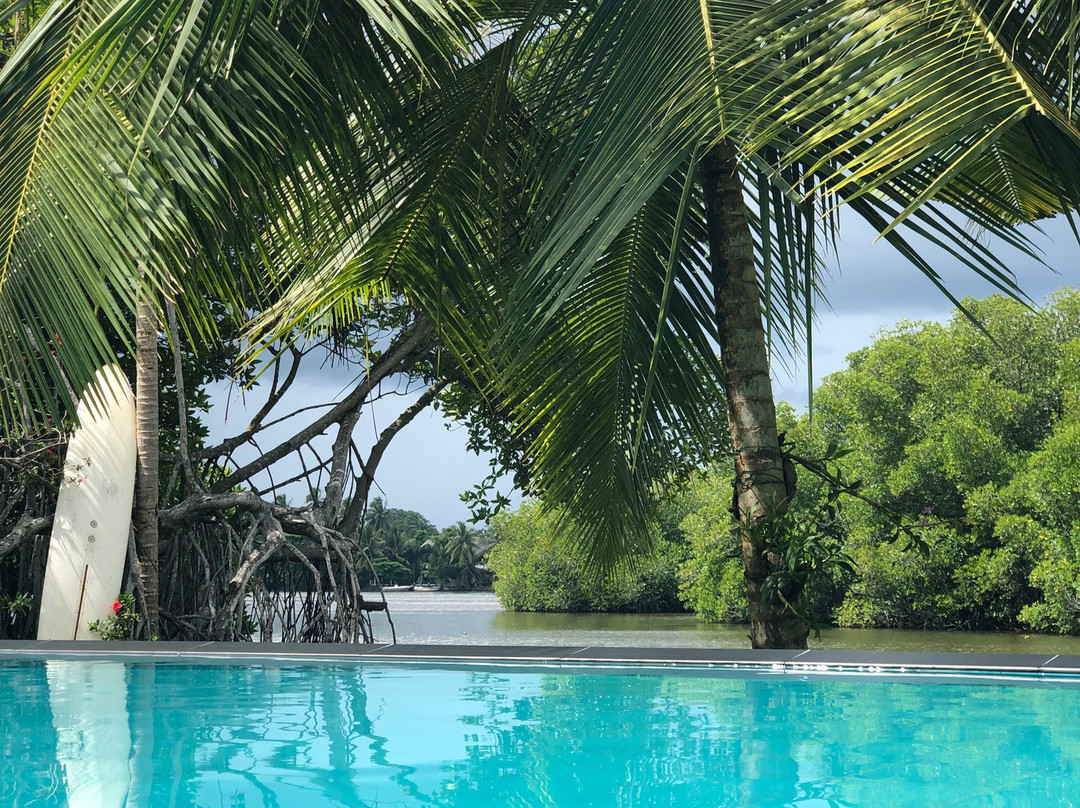 Lagoon Bentota主图