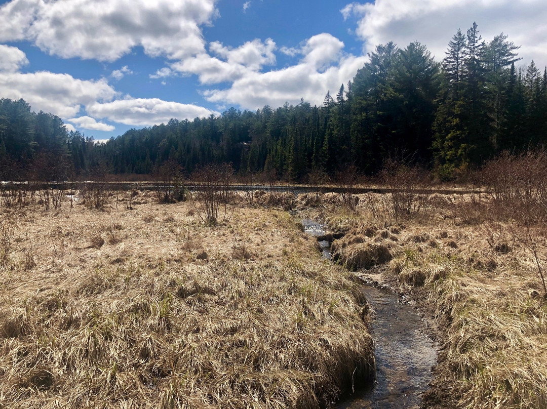 Beaver Pond Trail景点图片