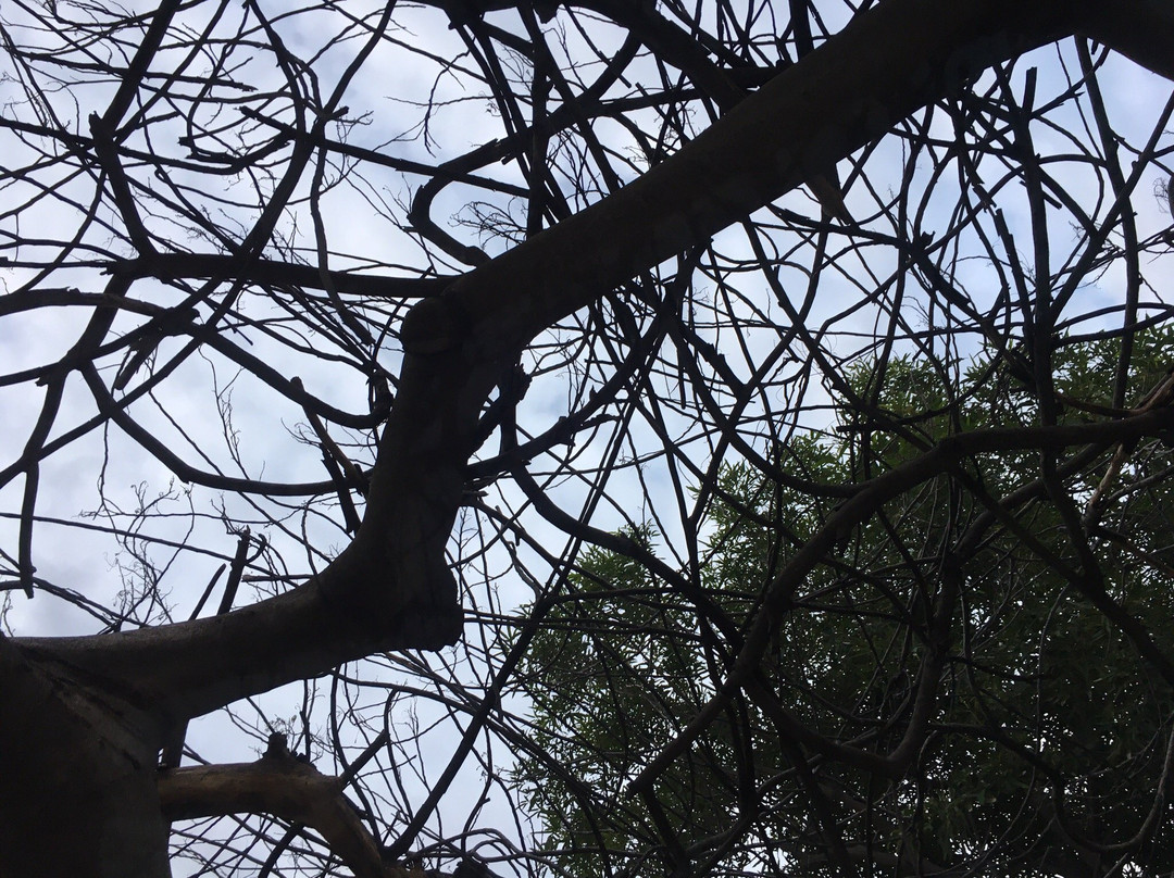 Petroleum Museum-Mossoro必去景点