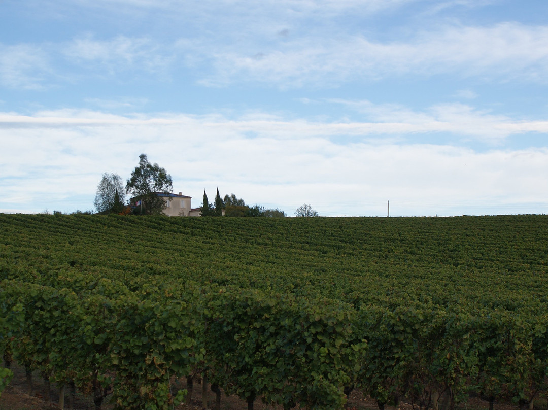 Chateau la Rame-Sainte-Croix-Du-Mont必去景点