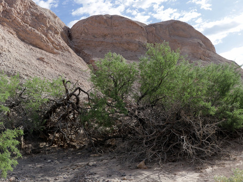 Kit Fox Hills-Stovepipe Wells必去景点