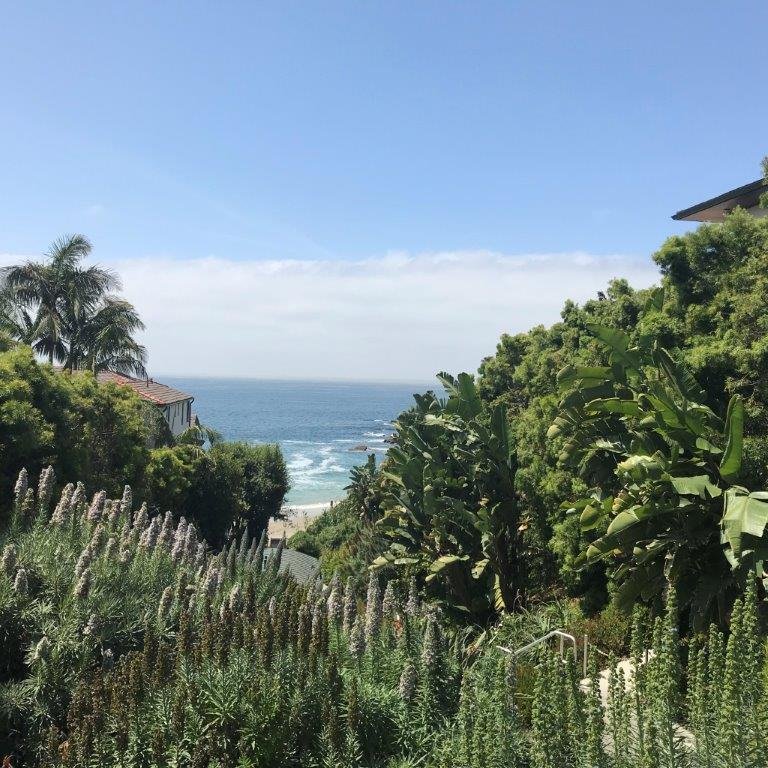 Hotel Joaquin-泳池