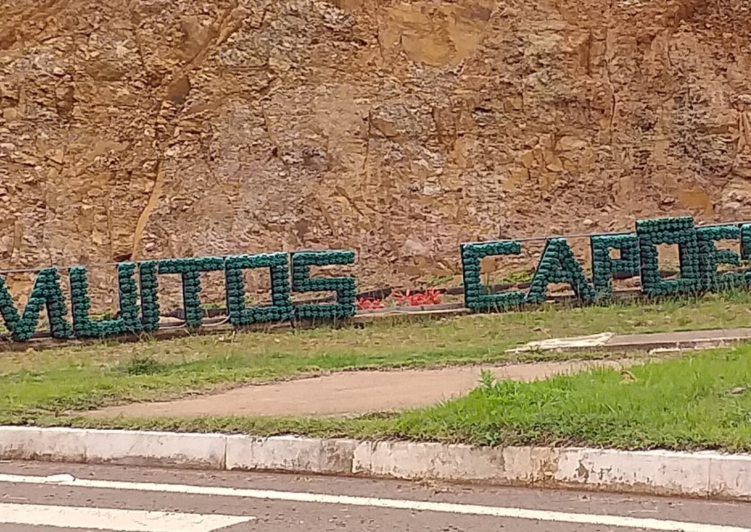 Monumento do Papagaio Charão景点图片