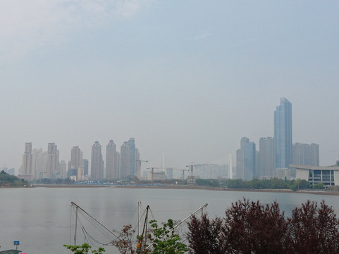 月湖公园-武汉市必去景点