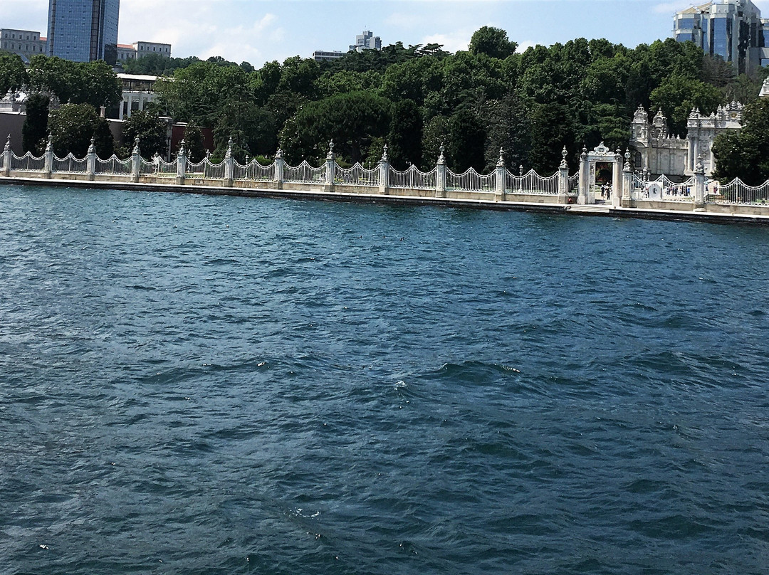 Bosphorus Cruise景点图片