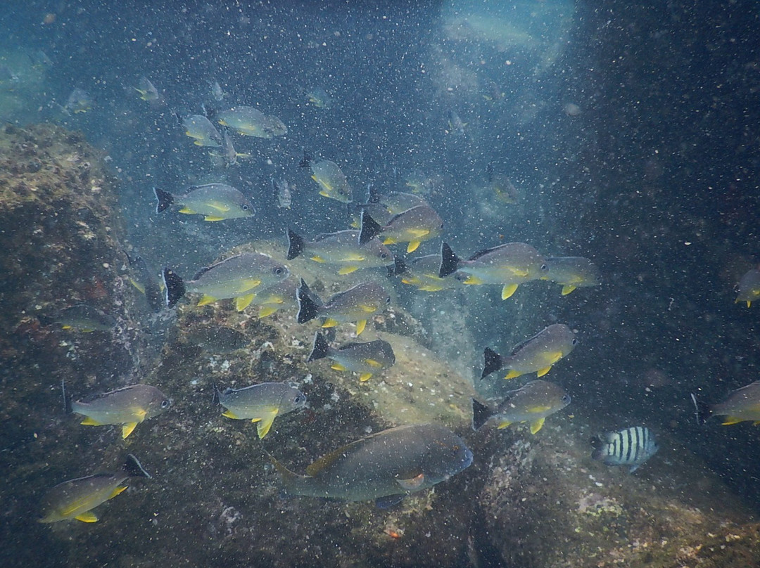 West Coast Adventures Kapu-乌杜皮必去景点