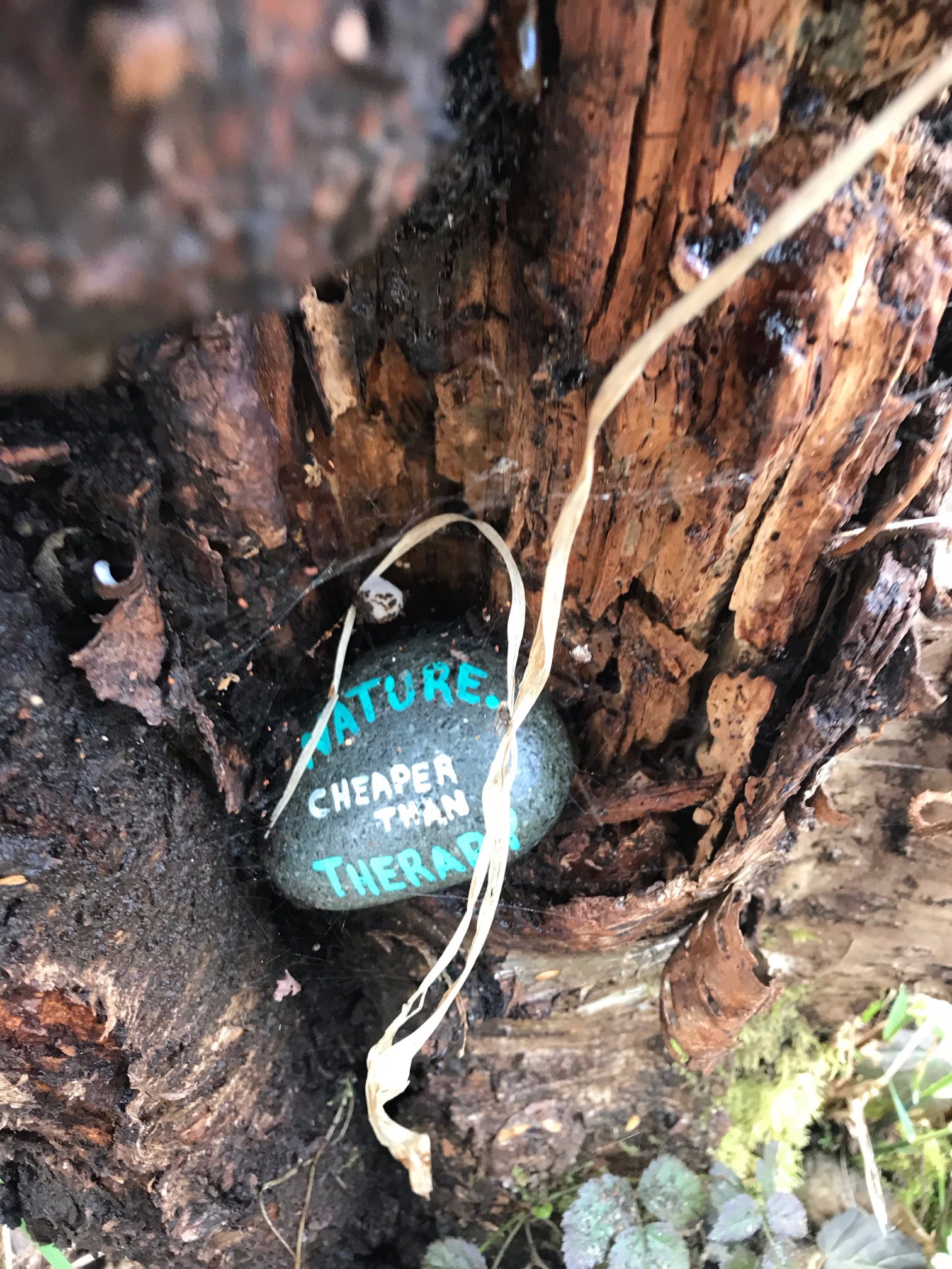 Free Spirit Spheres Inc.-酒店景观