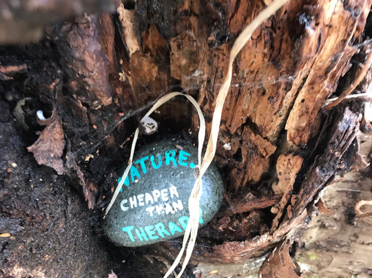 Free Spirit Spheres Inc.主图