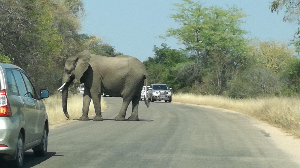 Belfast tours and safaris-雾观必去景点