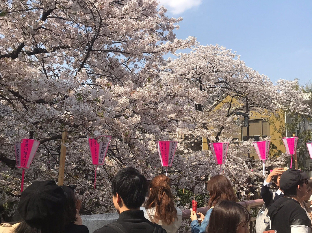 Nakameguro Park景点图片