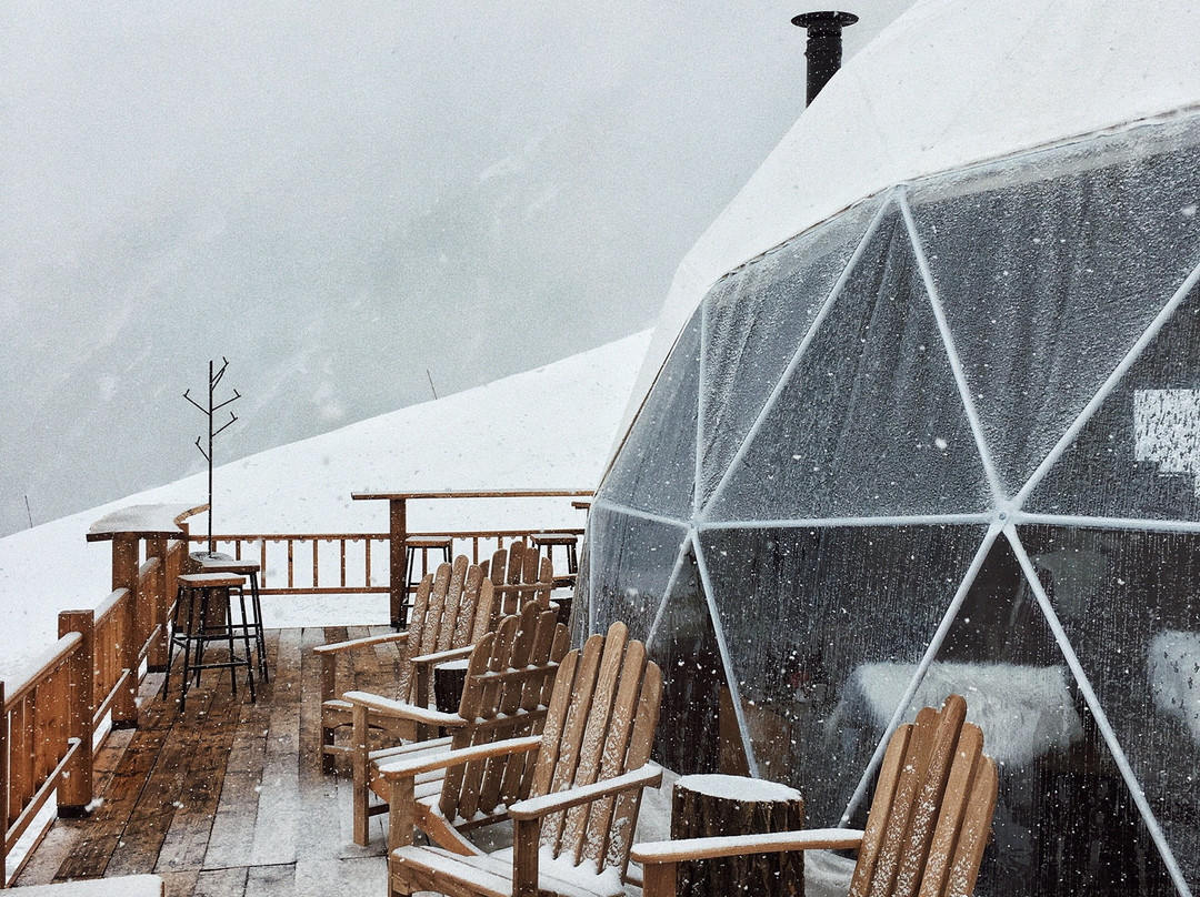 Besqaynar餐馆和美食-Igloo Food&Drinks