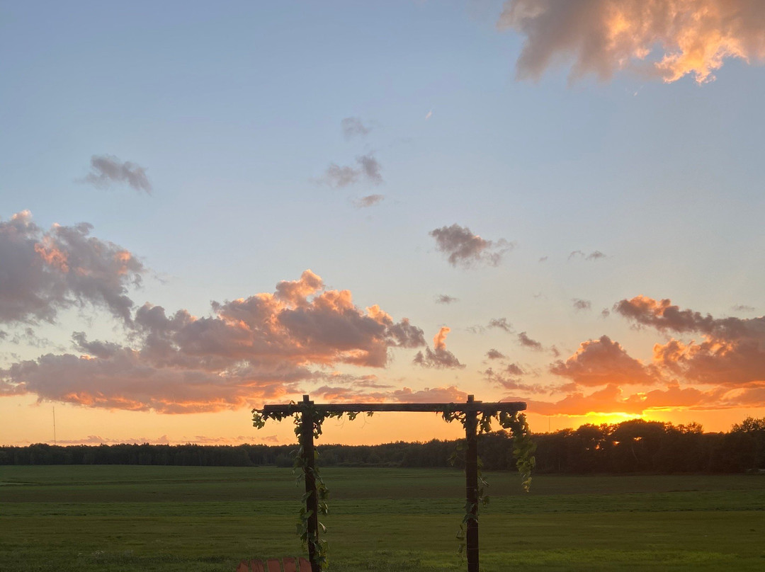 Dennis Drummond Wine Co