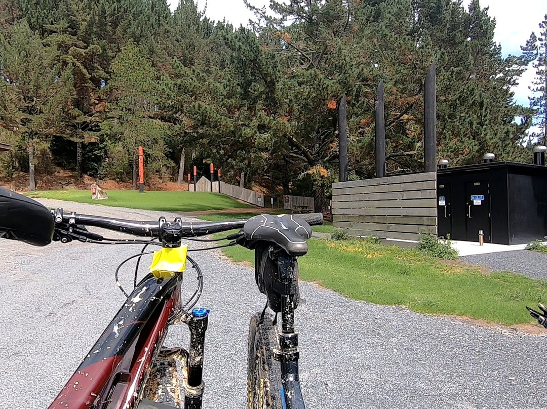 Waitangi Mountain Bike Park景点图片
