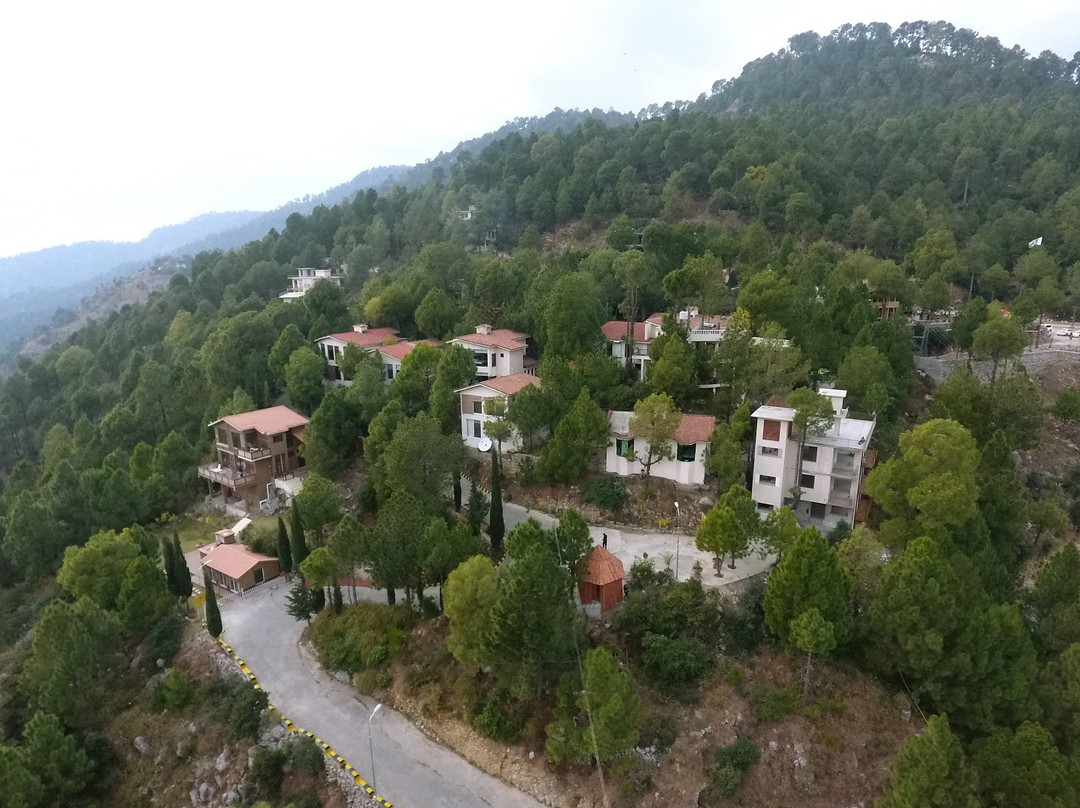 Whispering Pines Resort