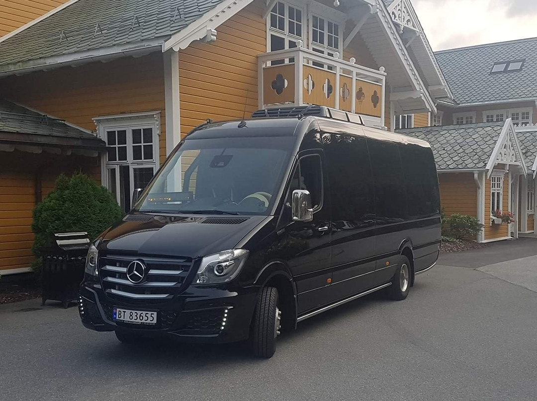Turbuss Bergen AS-卑尔根必去景点