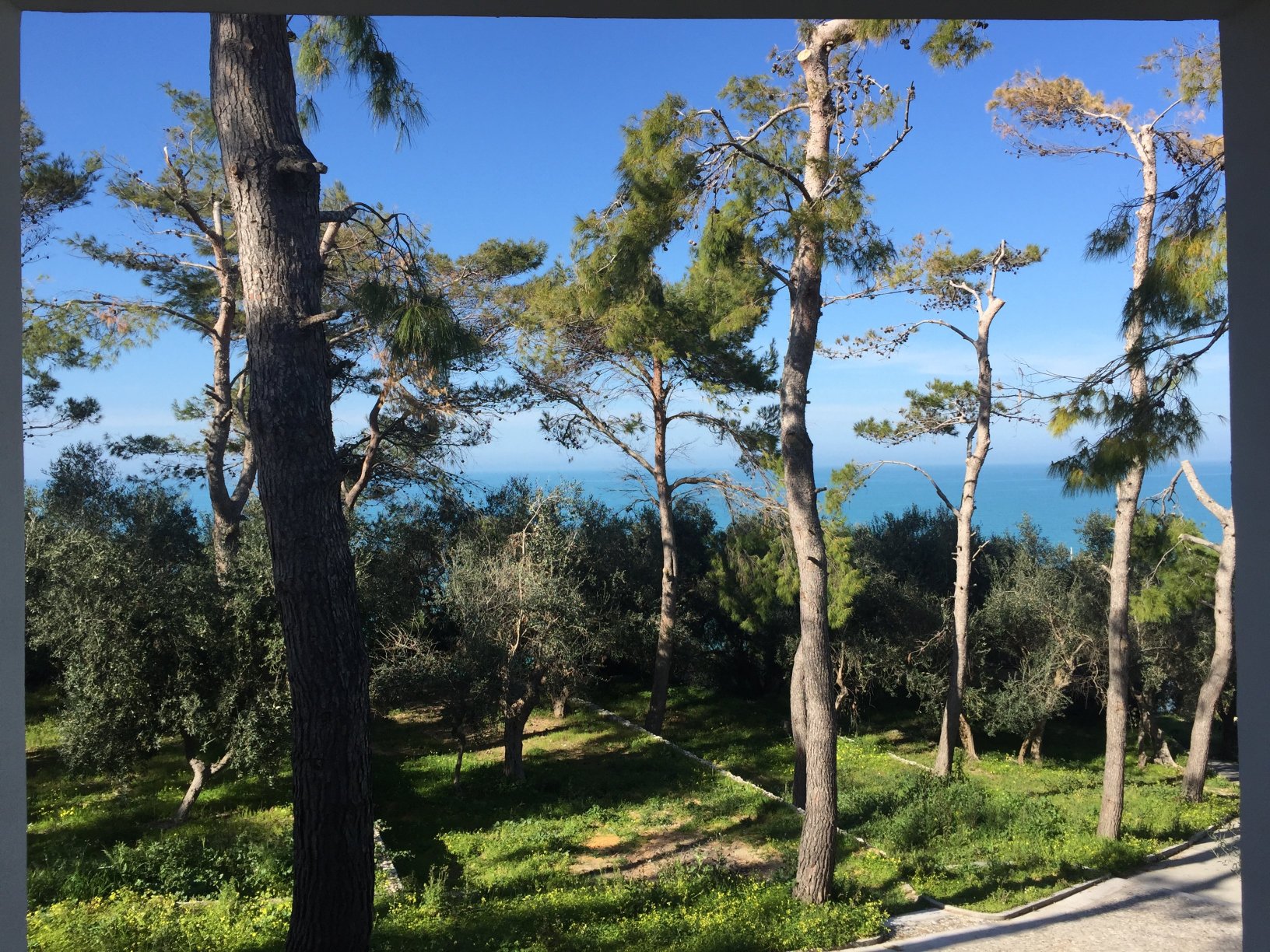 Villaggio Ripa-官方