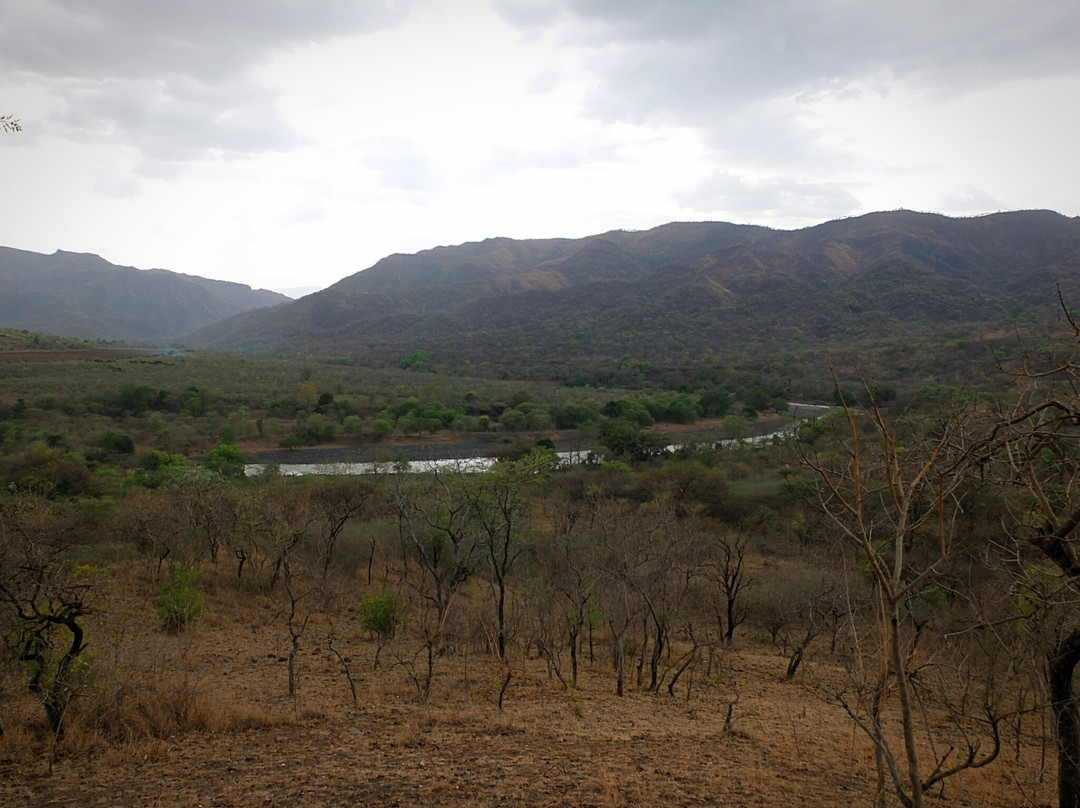 Gibe Sheleko National Park景点图片
