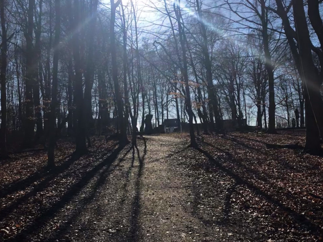 Skovsøen-欧登塞必去景点