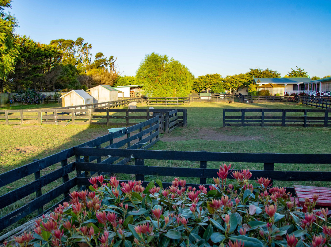 Kerry Lane Motel主图