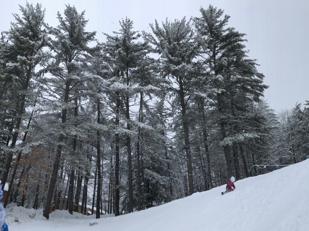 Cold Spring Resort主图