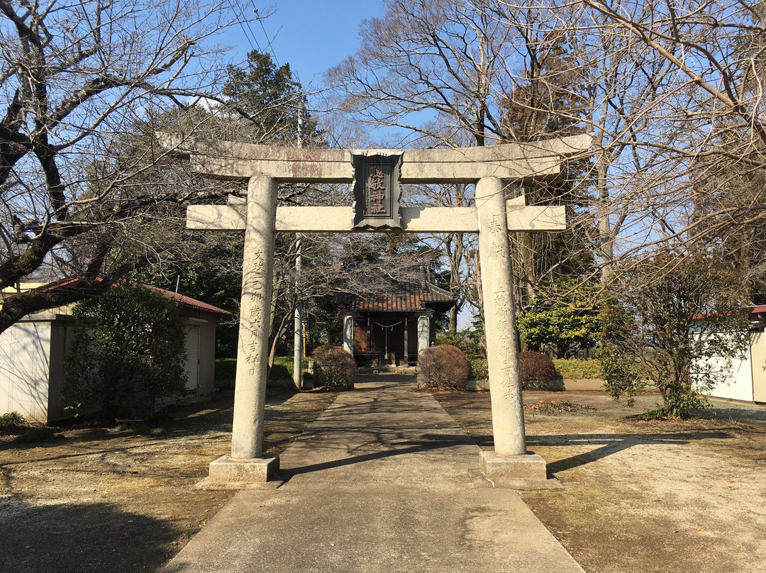Yukijo Castle Site Park-结城市必去景点