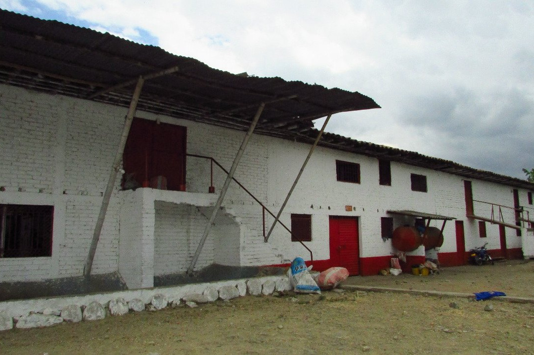 Colombian Coffee Adventures-亚美尼亚必去景点