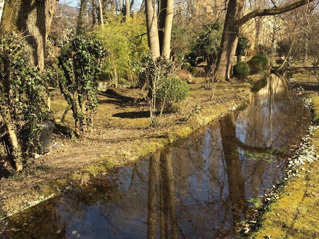 Parc Elfenau景点图片