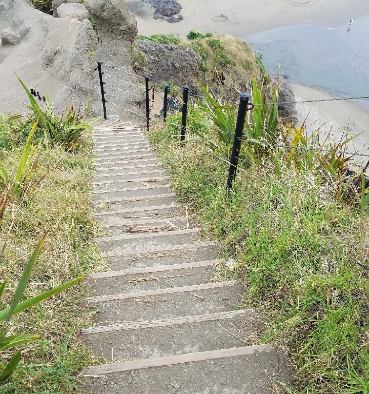 Piha Ocean Lookout主图