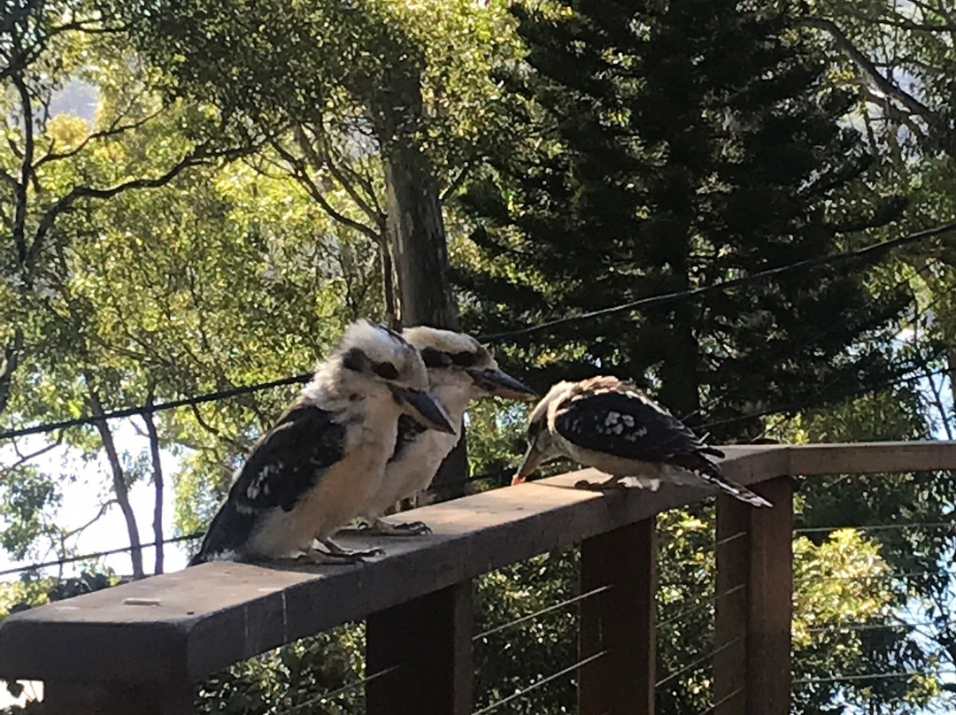 苏格兰岛寄宿酒店主图