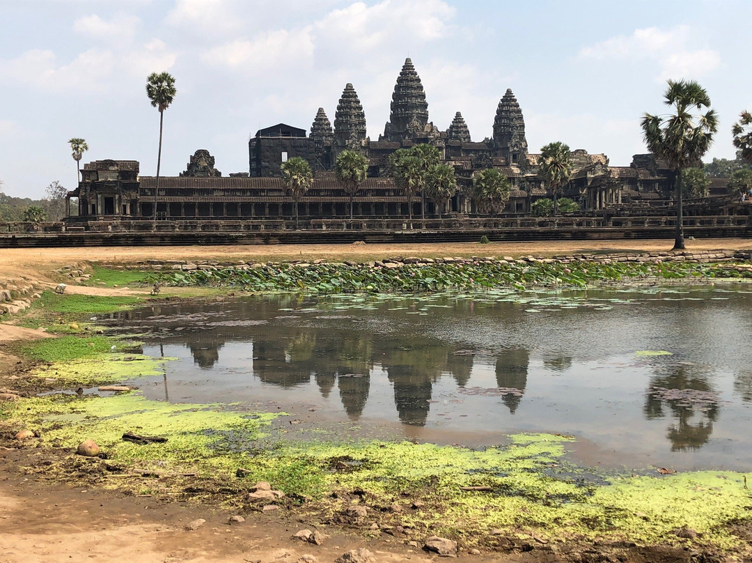 Angkor Wat Driver Private Tours景点图片