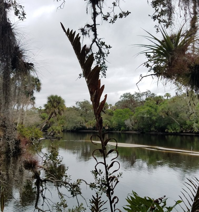 Snook Haven-威尼斯必去景点