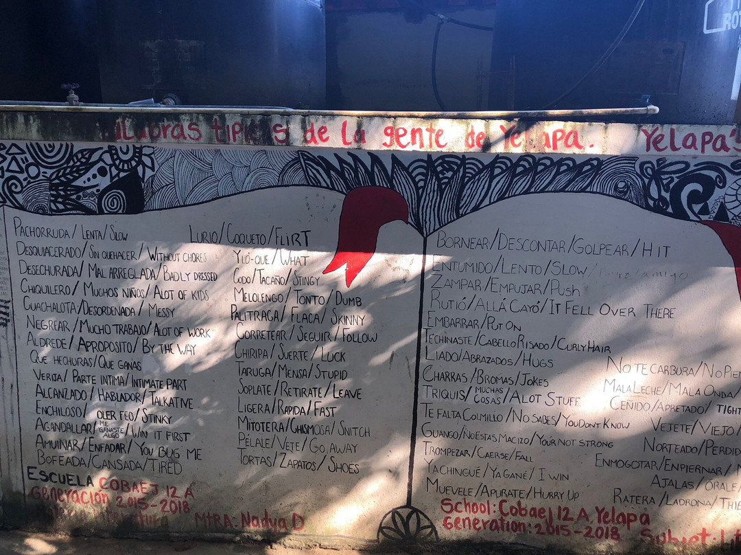 Yelapa y Mahauitas Playa-新瓦雅塔必去景点