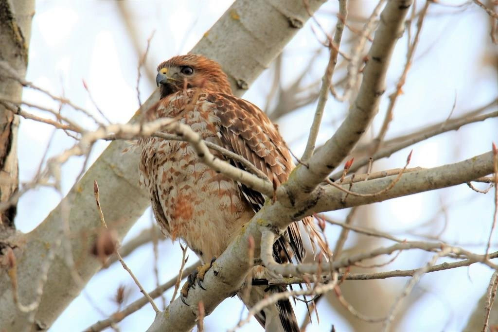 Brannan Island State Park-Rio Vista必去景点