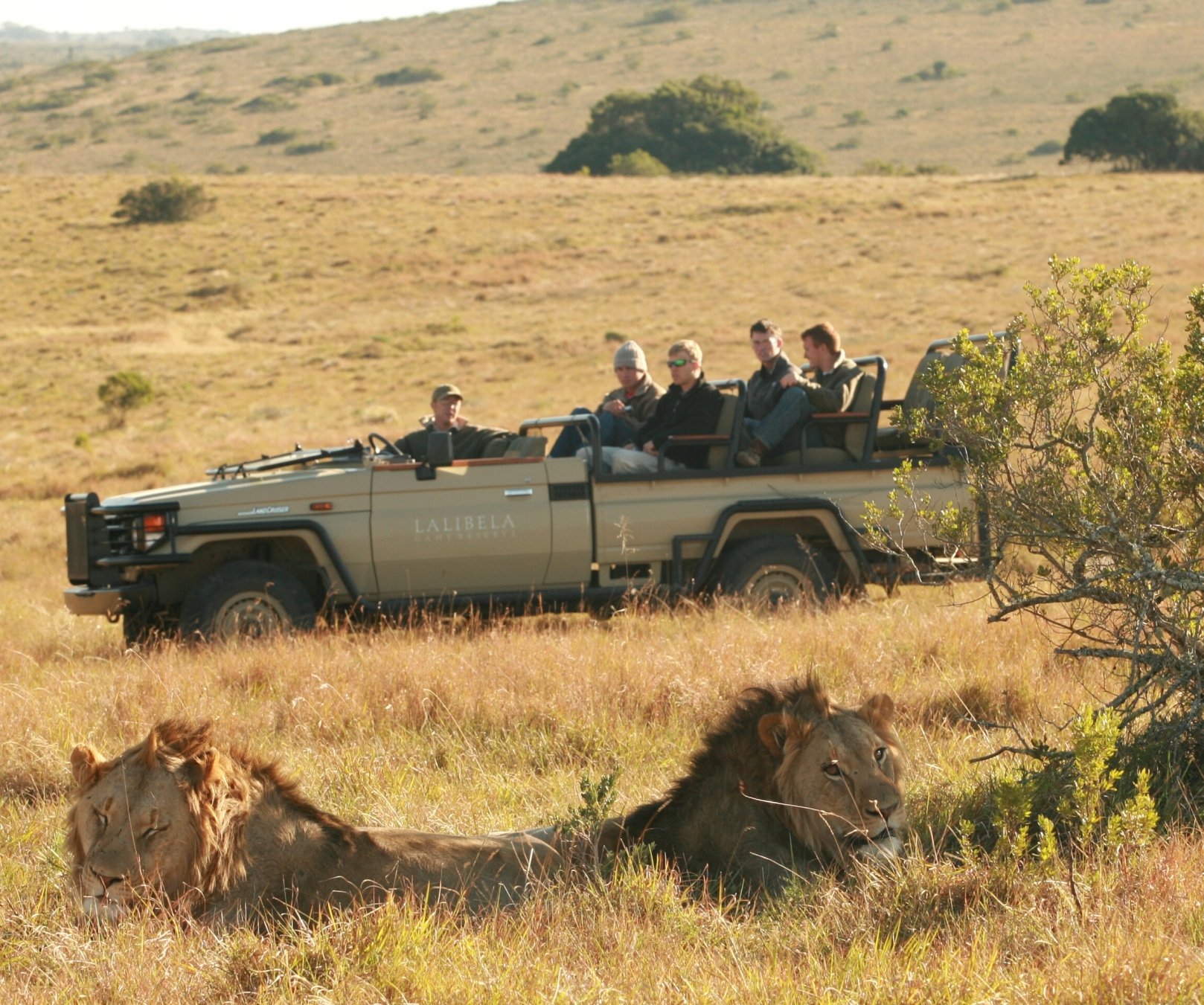 Lalibela Wildlife Reserve-官方
