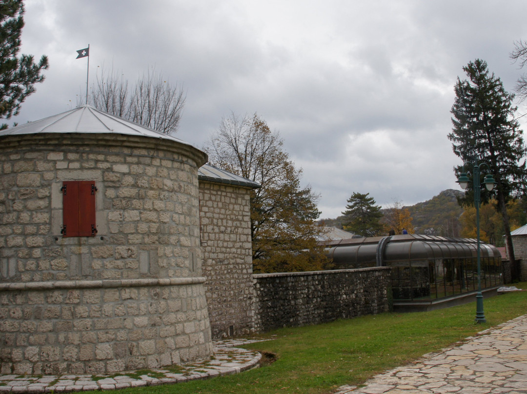 Njegos Museum Biljarda景点图片