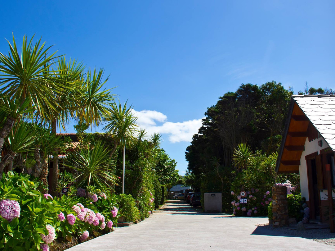 A Gaivota Camping